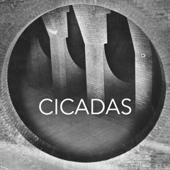 Cicadas