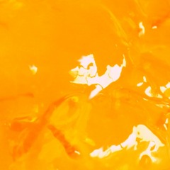 悲しいマーマレイド