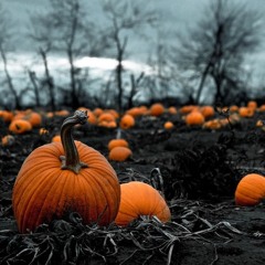 Halloween 3 Chariot of Pumpkins Cover