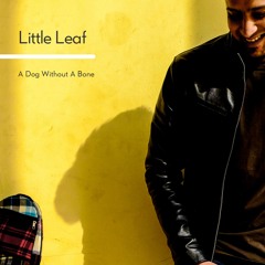 Little Leaf (Official Audio) - Featuring Jennifer Steeves