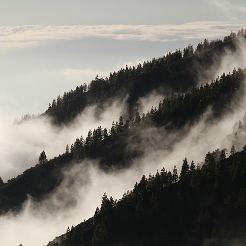 ในคืนที่เริ่มหนาว