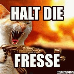 Vevesskull  - Terrorzelle 2017 - - -- Ruuuudi