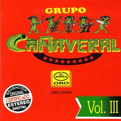 Grupo Cañaveral - Nunca Fui Tu Dueño (Dj Gonza)