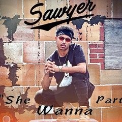 Sawyer Gibson - She Wanna Party