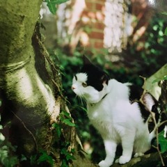 Poems By Jessica Heath