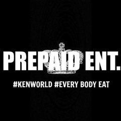 Prepaid Entr- Intro