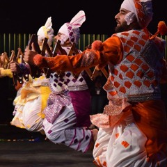 [Shan E Punjab] Seniors - Reign Of Bhangra 2017