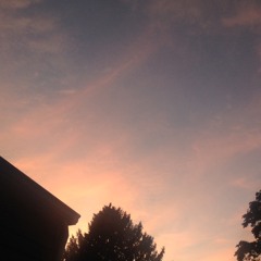 Show me that you're human