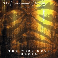 The Future Sound Of London - Papau Nu Guinea - T.W.G Remix (320 Free Download)