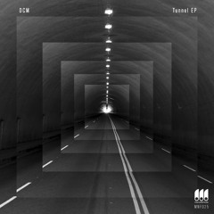 Tunnel (Lunate Dub)