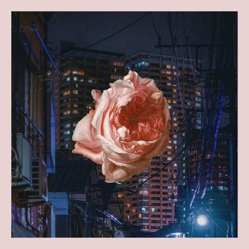 streets that blossom empty echoes and serenades