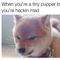 Typecast - Will you ever learn (acoustic cover)