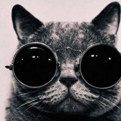 9vvn4hh757ivkiipngco