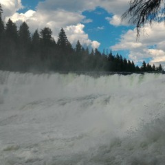 Bluegrass (Original)