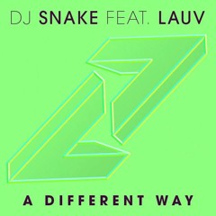 DJ Snake - A Different Way ft. Lauv (Jas Cash Remix)