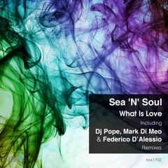 Sea N Soul - What Is Love ( Mark Di Meo & Federico D'Alessio Remix )