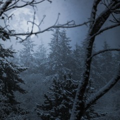 ZéM - Moonlight