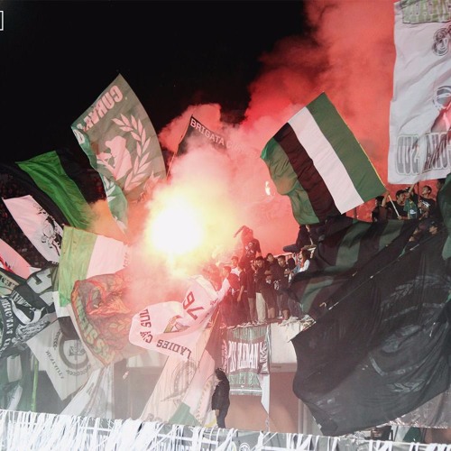 FNB - SLEMAN TILL I DIE (lirik)  PSS SLEMAN  BCSxPSS Kompilasi3