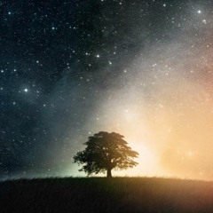 DIA Y NOCHE - (Contrario , Morfi , Bigote)
