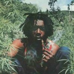 VITAL - WHATS A BUMBACLART (Clip)