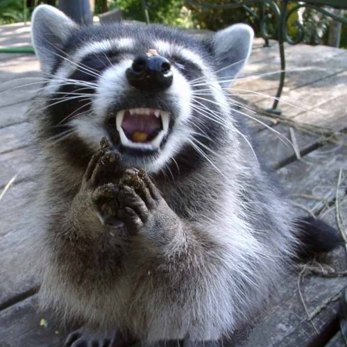 Lavos Broken Foot  REMASTER FINAL 68usd PROD