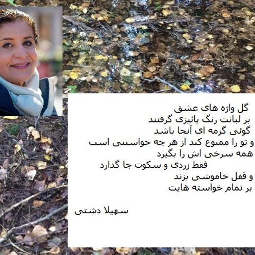 Radio Irava Oct.8,  2017 with Peymaneh Shafai