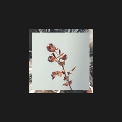 Portugal. The Man - Feel It Still (ROARY Remix)