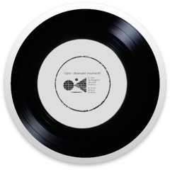 FE 003 Cignol The Observable Universe EP