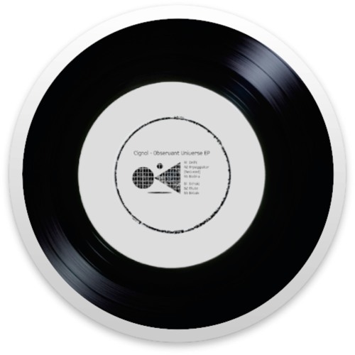 FE 003 Cignol The Observable Universe EP