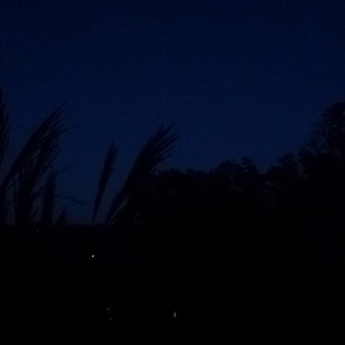 you feelin' alright?