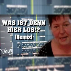 WAS IST DENN HIER LOS!? (Remix) || VolviMusic