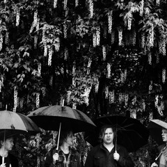 Mørk Materie/Eddapliks