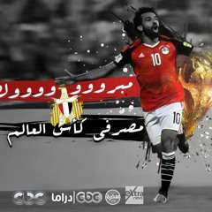 فرحة المصريين بكاس العالم