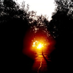 T.A.E. <+/-> (prod.Birocratic)