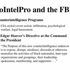 White Supremacy and Spree Killers, and FBI's COINTELPRO 2.0 (40)
