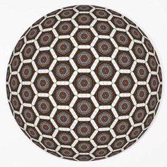 Harmonic 313 and luke vibert