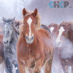 Who Comes To Conscious Horse Conscious Rider