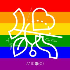 MTK030 - Stereogamous - Homewrecker (Feat. Shaun J. Wright)