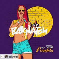 Sak Noel X Salvi X Garvanin - Préndelo (Xenology Remix)