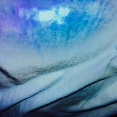 Desticle - I got my ocean josh pan 劈里啪啦Remix