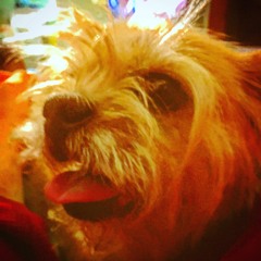 Priest Trout [Prod. Disturbed]