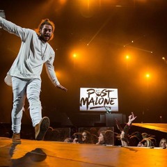 ROCK STAR Post Malone and 21savage EDM Remix(Prod. by Arka)