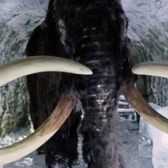 BAAAAAAAAAM