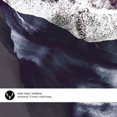 Enzo Leep - Viridiana (12 Tones Remix)