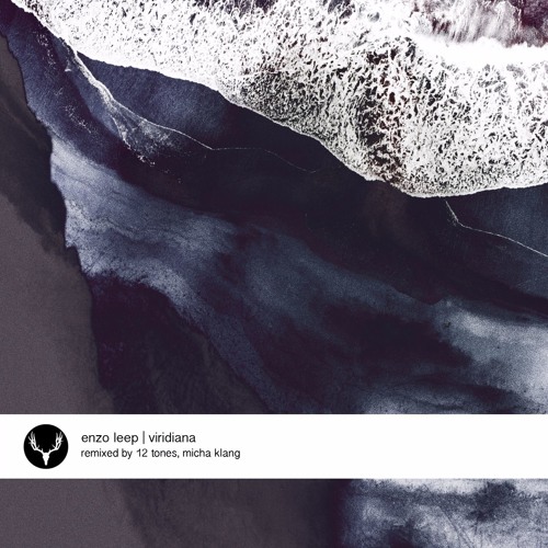 Enzo Leep - Viridiana (12 Tones Remix)