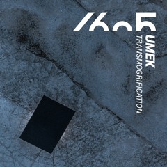 UMEK - Descending Into Chaos (Original Mix)