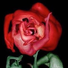 EXTAZIUM  (Rough Mix)by Wannislas