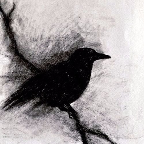 Stream Black Bird Song - Lee DeWyze cover by Mars Octobre Music | Listen  online for free on SoundCloud