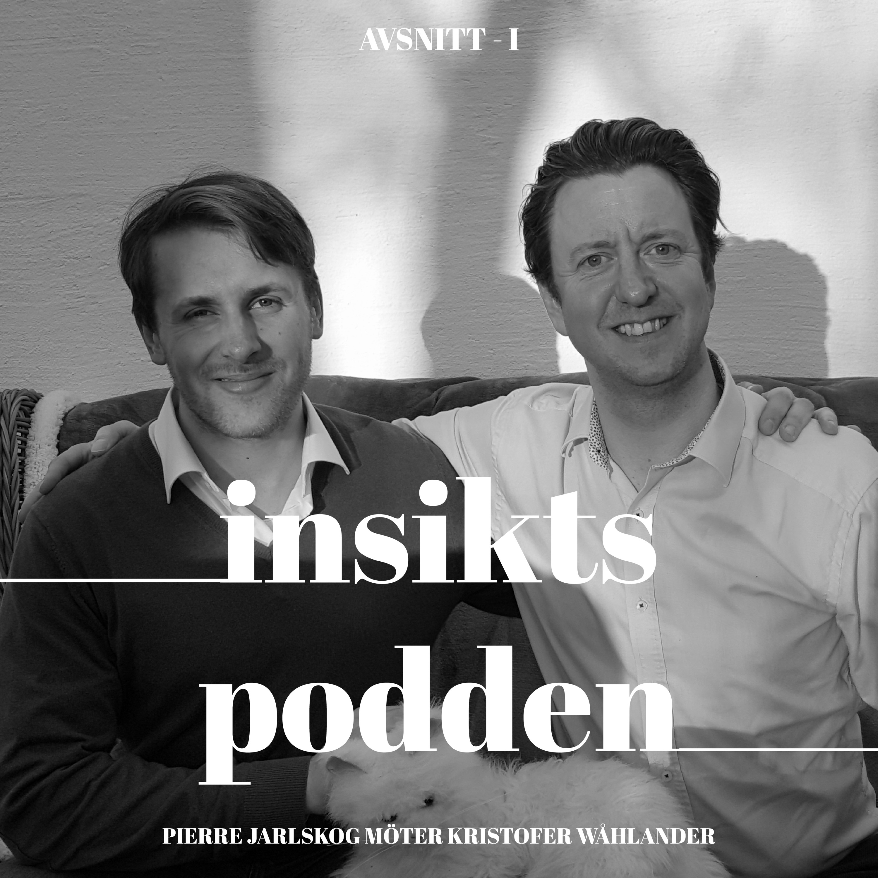 Insiktspodden