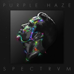 Purple Haze - SPECTRVM [OUT NOW]